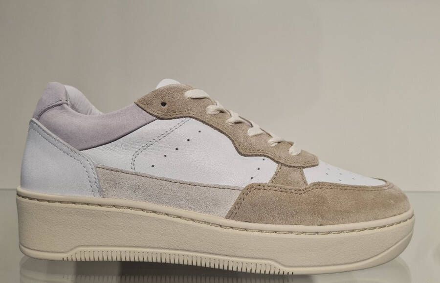 Blackstone DREW ZL92 LILAC WHITE RETRO LOW-SNEAKER Vrouw LILAC WHITE