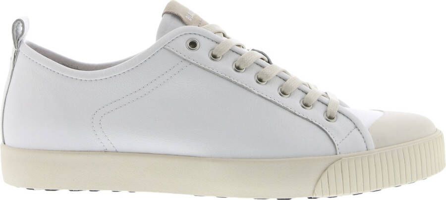 Blackstone Hank Low White Sneaker (low) Man White