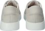 Blackstone MAYNARD Light Grey Sneaker (low) Man Light grey - Thumbnail 4