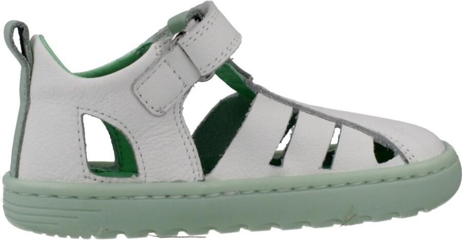 BLANDITOS CUBABD Groen