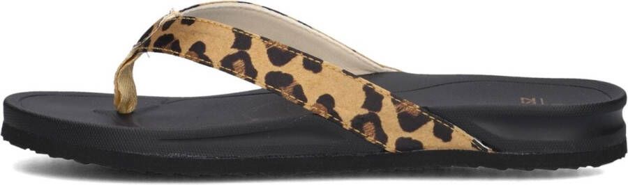 BLASZ Bella 2402 Slippers Dames Bruin