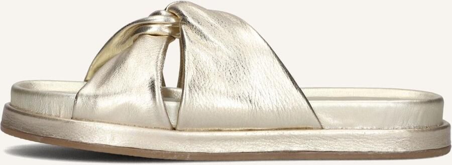 BLASZ Lpmag-14 Slippers Dames Goud - Foto 3