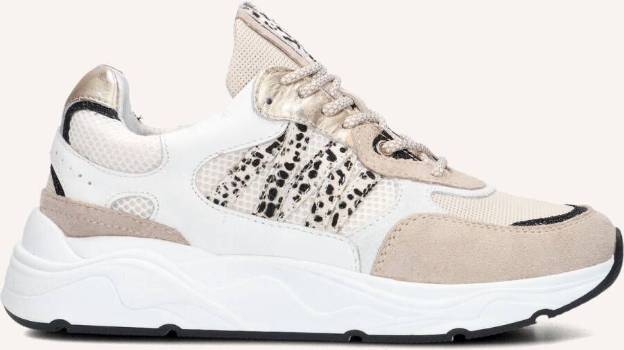 BLASZ Lage Sneakers Dames Cirop-01 Maat: 43 Materiaal: Suède Kleur: Beige