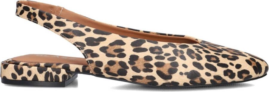 BLASZ Cl15593 Schoenen Dames Bruin