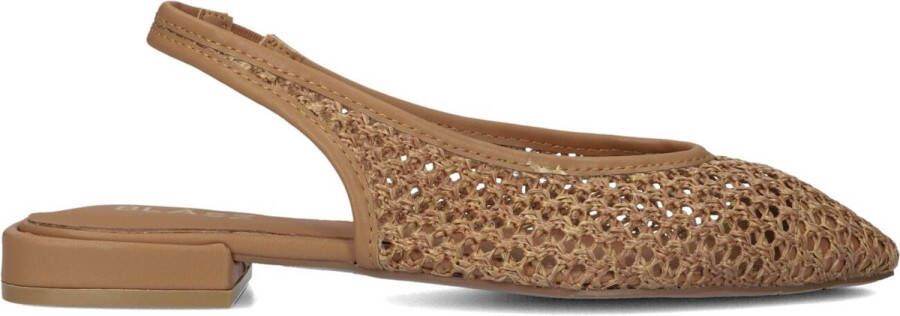 BLASZ Cl15593 Schoenen Dames Bruin