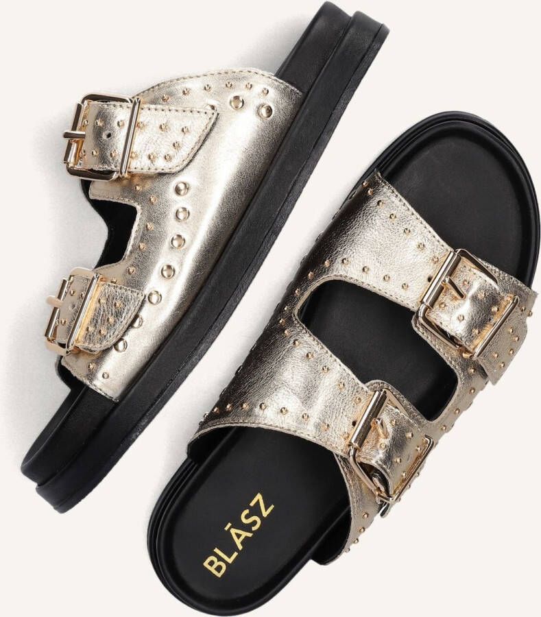 BLASZ Lpmag-07 Slippers Dames Goud