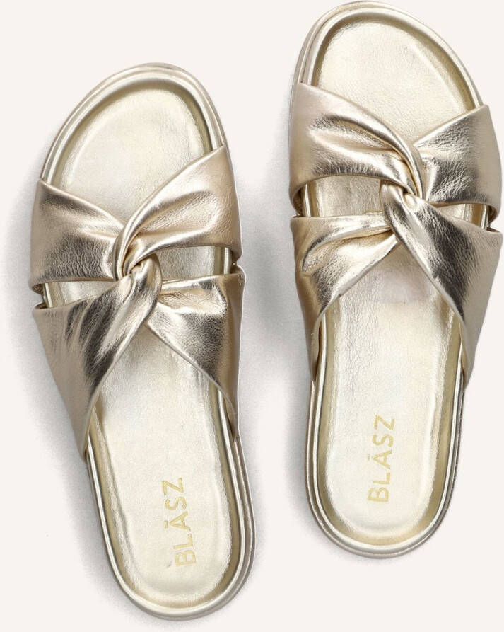 BLASZ Lpmag-14 Slippers Dames Goud