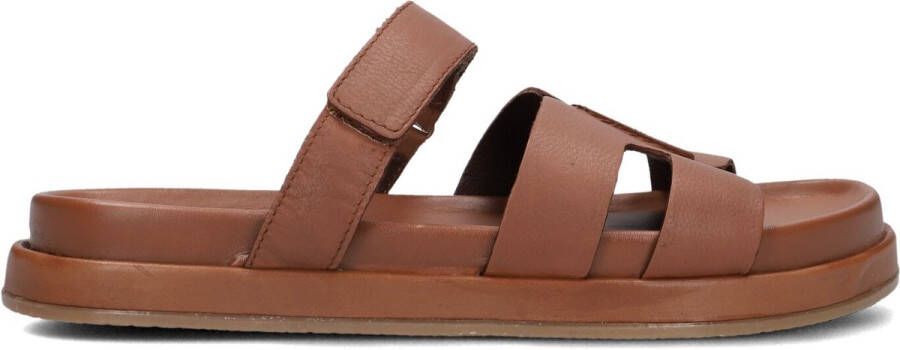 BLASZ Lpmag-43 Slippers Dames Cognac