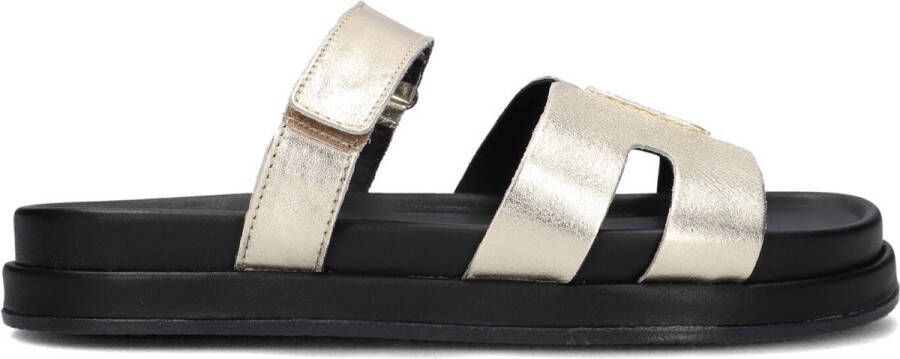 BLASZ Lpmag-43 Slippers Dames Goud