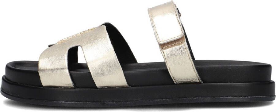 BLASZ Lpmag-43 Slippers Dames Goud