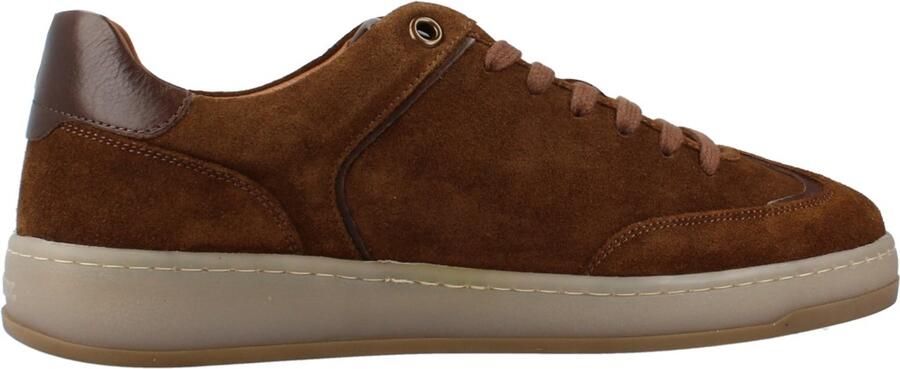 Blauer Lage Sneakers F6farrell02