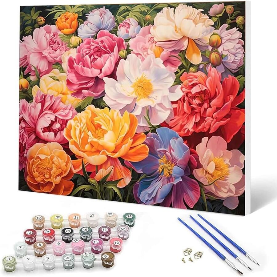 Bloe schilderen op nummer voor volwassenen en kinderen set met olieverfschilderij voor beginners met houten frame 20 x doe-het-zelf kunstkit met 3 penselen en acrylverf kreukvrije