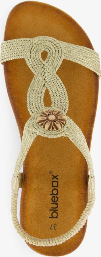 BLUE BOX gevlocthend dames sandalen goud