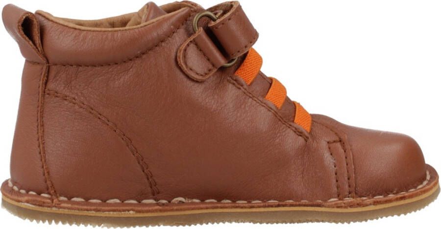 Boston BARBO Bruin