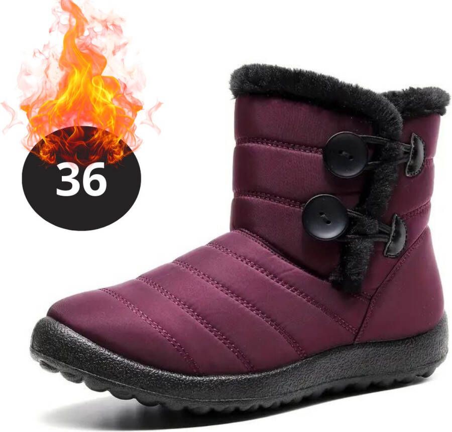 Nivard Snowboots Sneeuwschoenen Sneeuwboots Dames Wintersport Ski Skischoenen Rood 36.5 Knopen