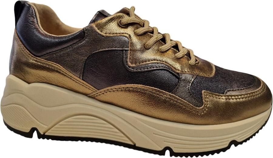 BRIDGE 24257204 Smoke Dames Sneakers Brons