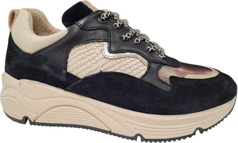 BRIDGE Zwarte Met Goud Leren Dames Sneakers Zwart