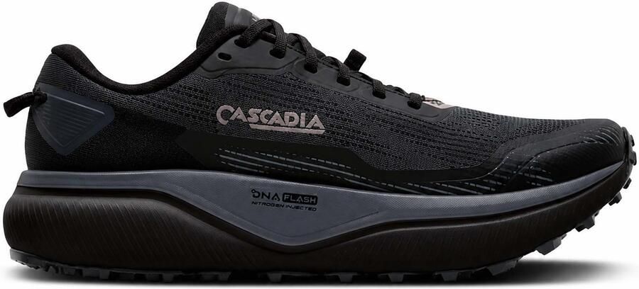 Brooks Cascadia 20 Gore-tex Trailschoenen Zwart Man