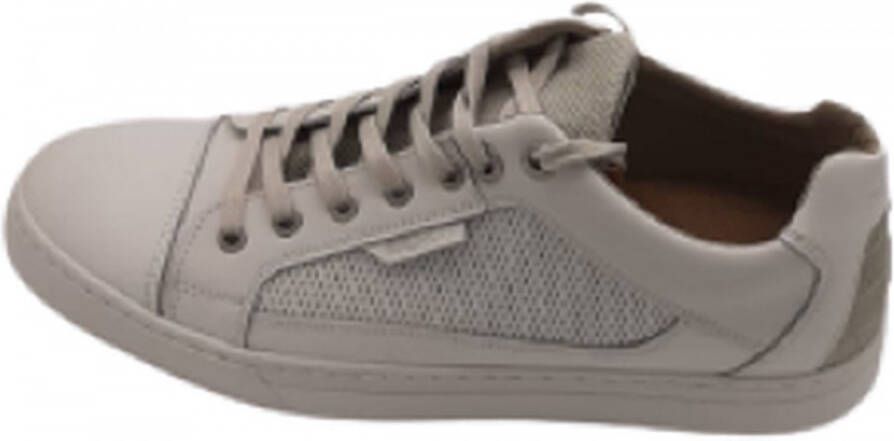 Brunotti schoenen deals