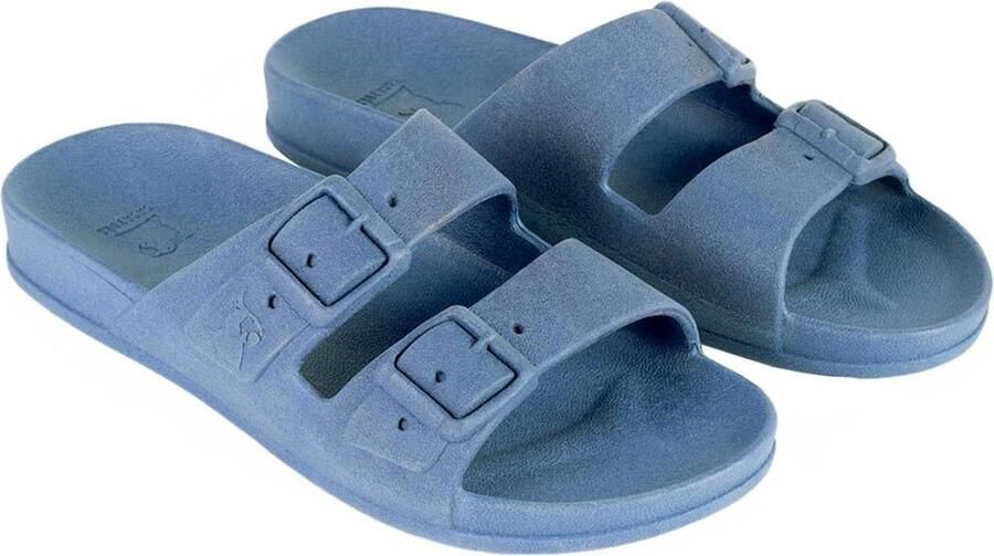 Cacatoes Rio De Janeiro Slides Blauw Vrouw
