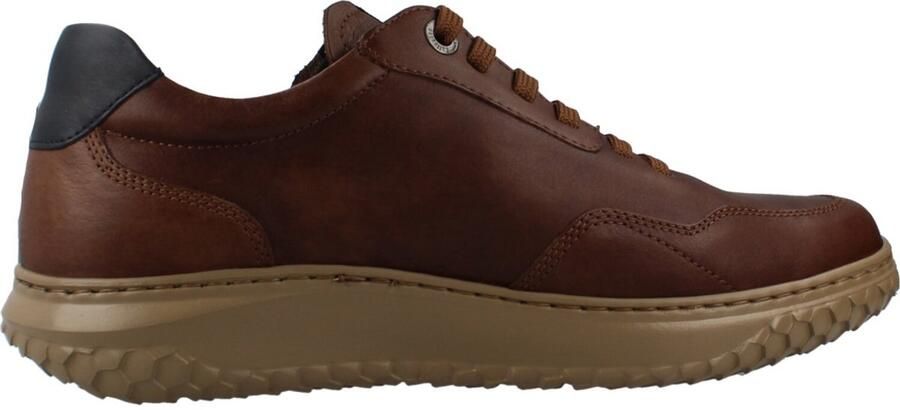 Callaghan DORADO JACINTO Bruin