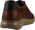 CallagHan Sneakers Dorado Jacinto - Bruin