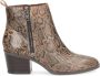 Caprice 9 25363 23 349 Korte Laars Bruin Python - Thumbnail 2