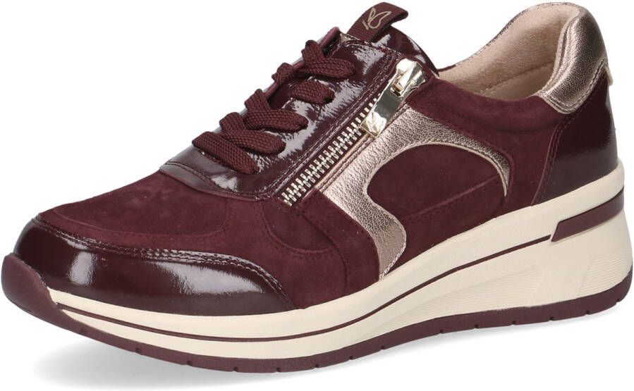 Caprice art 9-23300-44 551 -veter rits bordo-dames