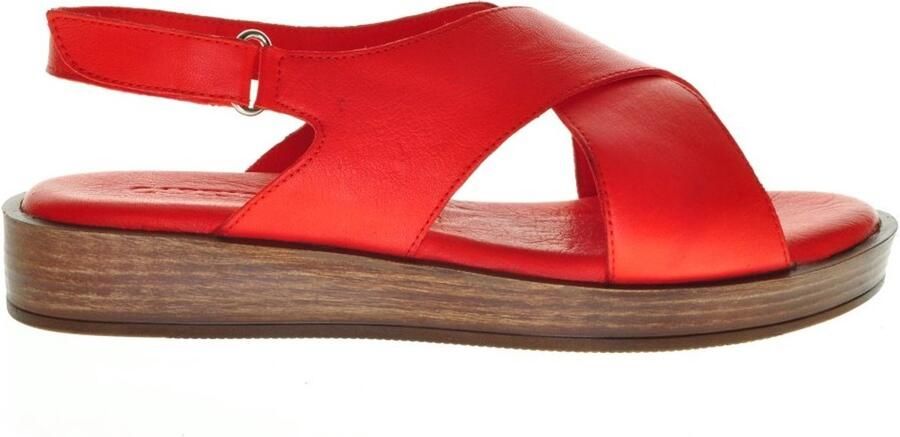 Caprice Rode Damessandaal Kruis Sandaal Leder - Foto 4