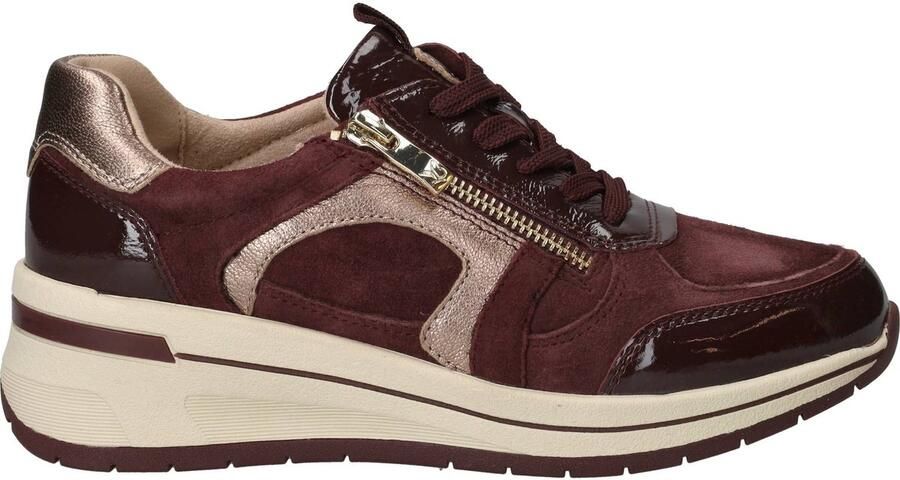 Caprice art 9-23300-44 551 -veter rits bordo-dames