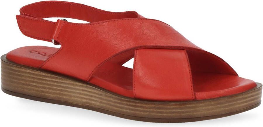 Caprice VALENTINA leren sandalen zwart - Foto 4