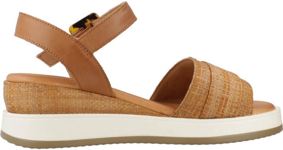 Carmela 162227C Bruin