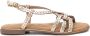 Carmela 162388 Sandaal GOUD - Thumbnail 1