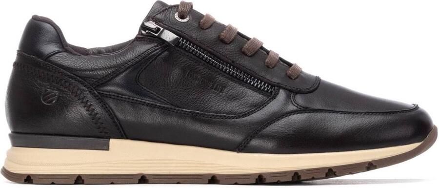 Carmela 162677 Trainer BRUIN
