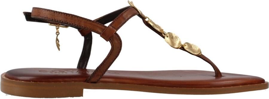 CARYATIS 621507C Bruin