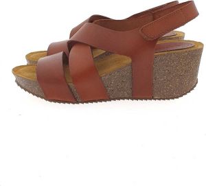 Casarini 23013 sandaal bruin 40