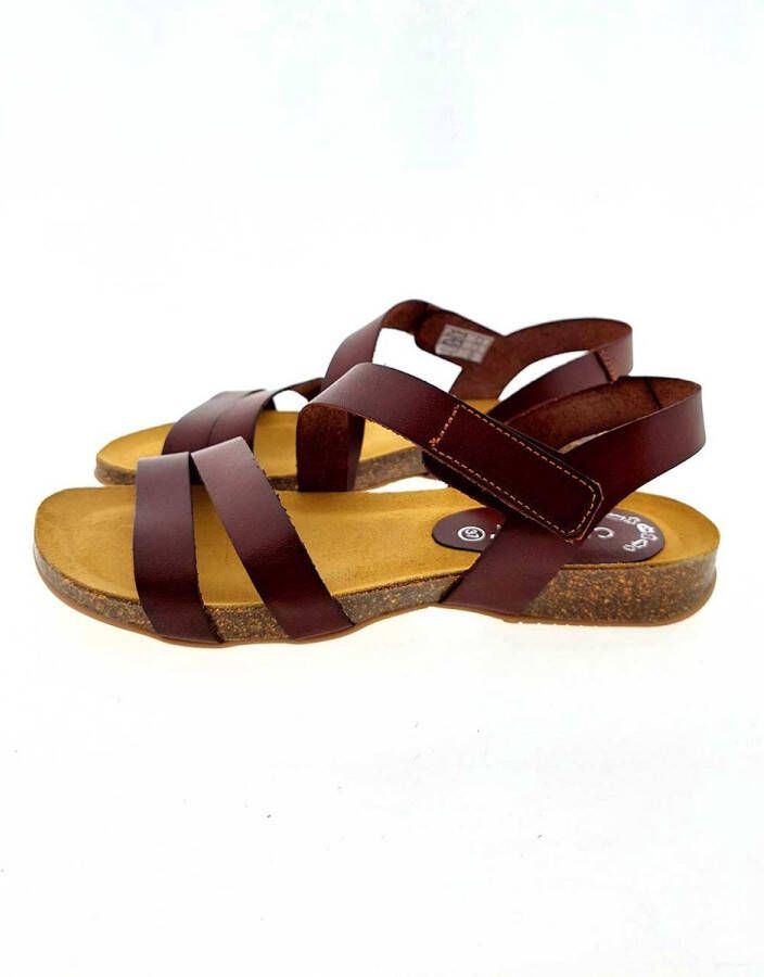 Casarini 25022 sandaal middelbruin