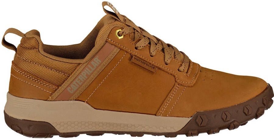 Caterpillar Hex Ready Low W Schoenen Bruin Man