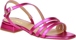 Catwalk Nour Fuchsia Metallic Sandaal