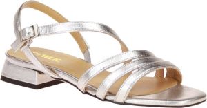 Catwalk Nour Zilver Metallic Sandaal