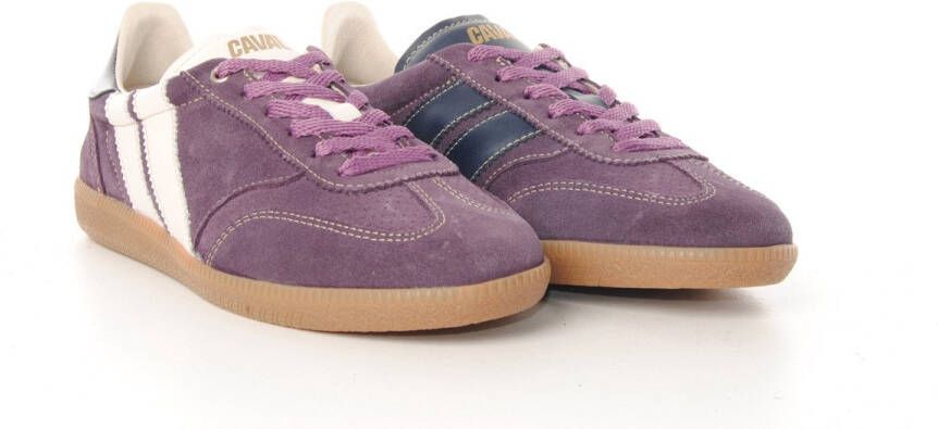 Caval dames sneaker cava suède paars