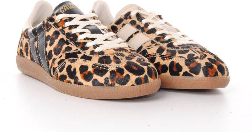 Caval Hoge Sneakers LEO OBSESSION