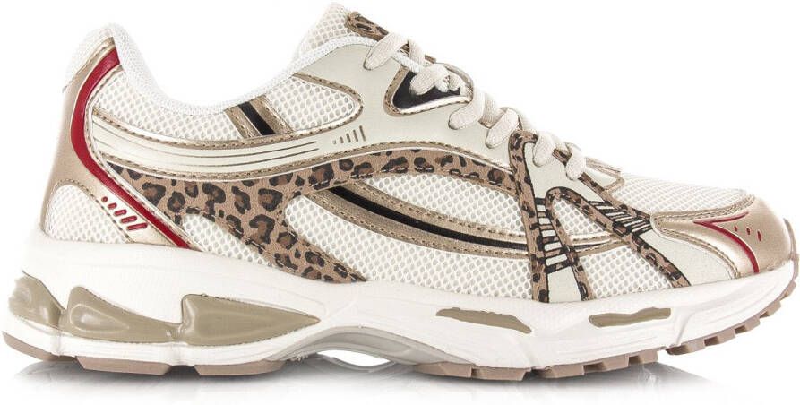 C.C.S. Sneakers Run leopard