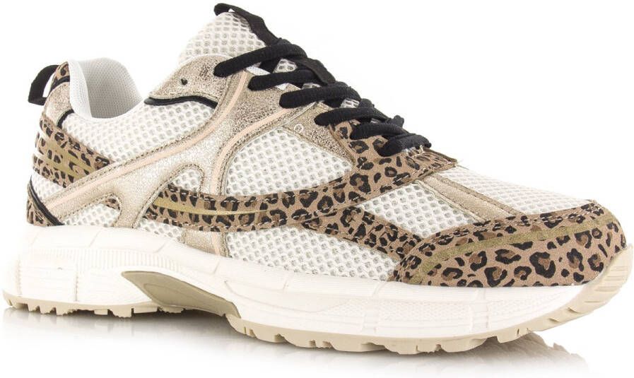 C.C.S. Sneakers Yano gold leopard