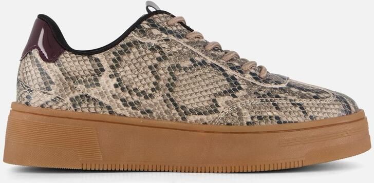 Cellini Snake Sneakers beige Synthetisch