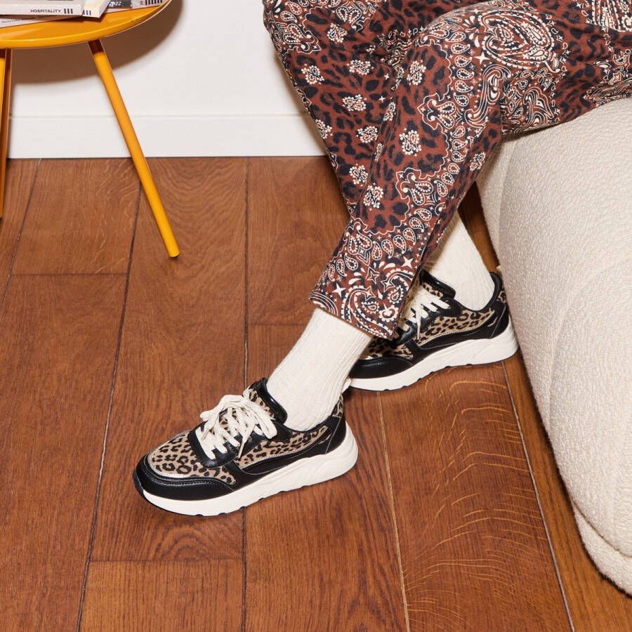 Cellini Cellnini Leopard Sneakers zwart Textiel