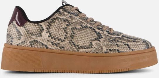Cellini Snake Sneakers beige Synthetisch