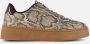 Cellini Snake Sneakers beige Synthetisch - Thumbnail 1