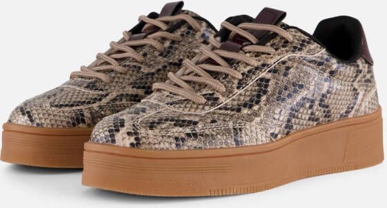 Cellini Snake Sneakers beige Synthetisch