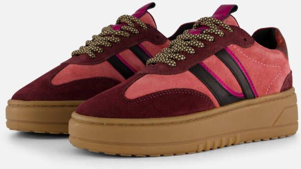 Cellini Sneakers roze Leer